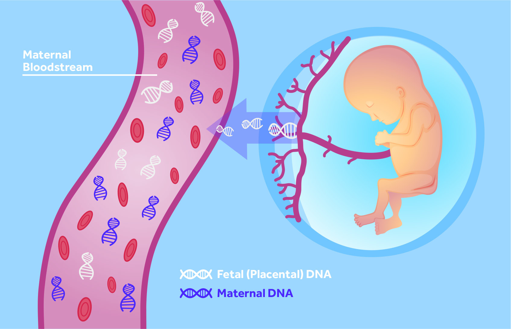 怎么样才能怀孩子？备孕指南及生育健康全解析