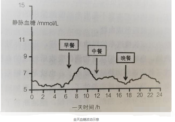 吃饱了就犯困怎么回事？深度解析餐后嗜睡的科学原因及应对方法