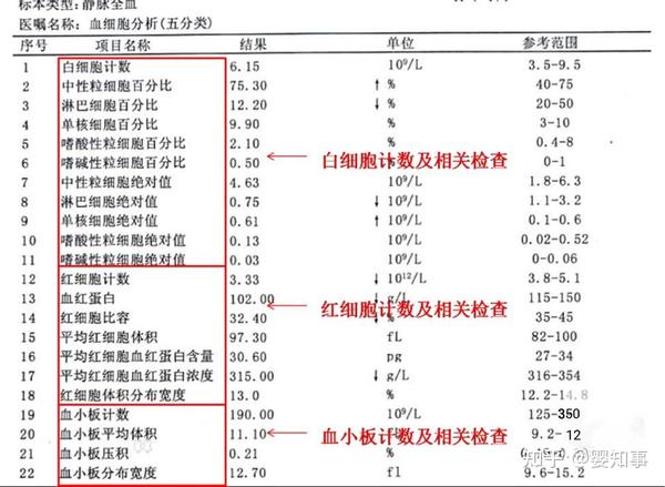 血常规检查：病毒感染还是细菌感染？详解白细胞、淋巴细胞等指标的判读