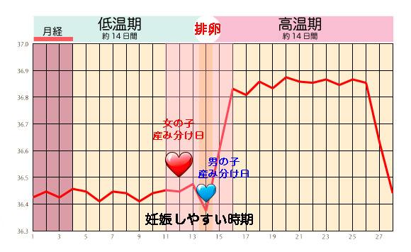 怎么看内裤知道排卵了？科学解读排卵期分泌物变化