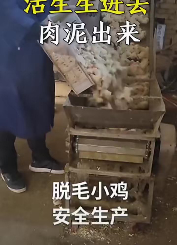 宝宝辅食攻略：鸡肉泥怎么做？从食材选择到细腻口感的全面指南