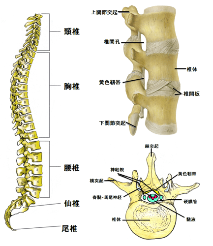 卫生健康 第2页