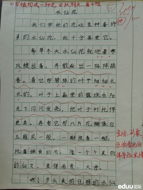 妙笔生花：解锁动物作文写作技巧，提升小学生作文水平