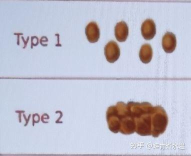 大便英语怎么说？深度解析各种表达及文化差异