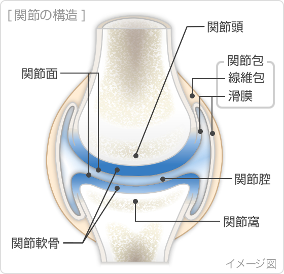 遗精和滑精怎么区分？深度解析男性生殖健康问题