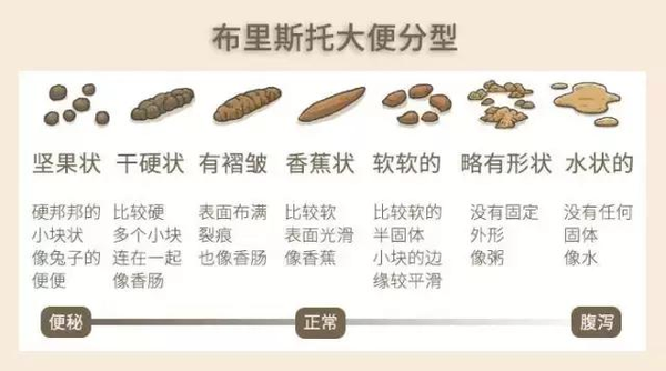 拉屎绿色的怎么回事？胆汁、食物和疾病的可能性深度解析