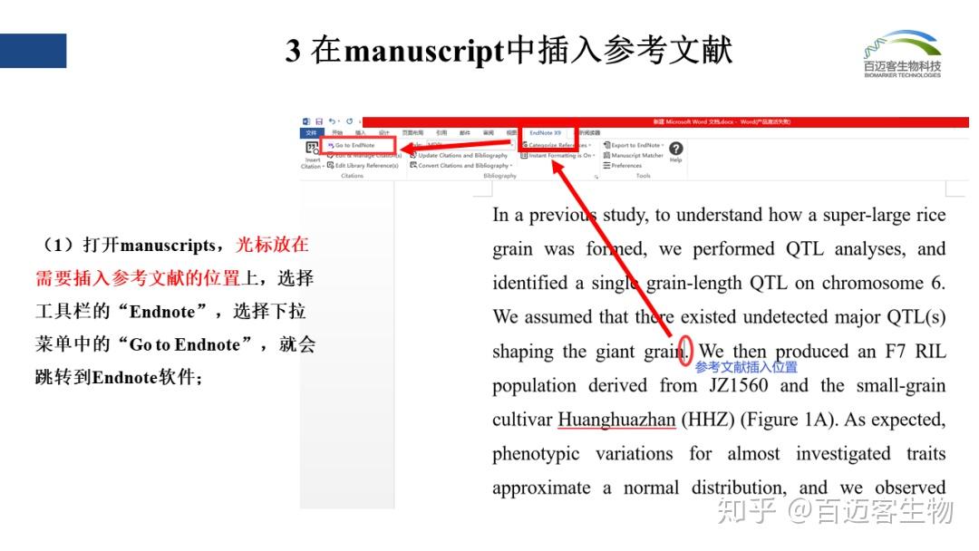 论文的参考文献怎么标注？详解规范与技巧，提升论文学术水平