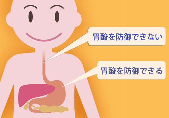 食道疼怎么回事？深度解析食道疼痛的常见原因及应对方法