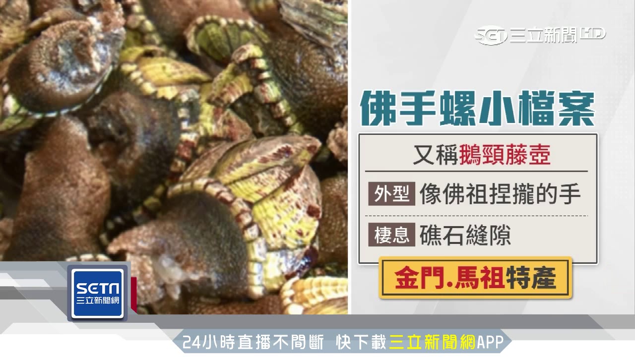 佛手怎么吃？从药用价值到美味佳肴的全面指南