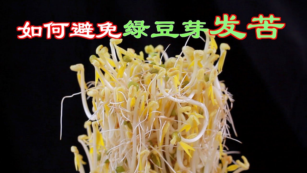 茄子怎么做菜？解锁茄子的百变美味与烹饪技巧