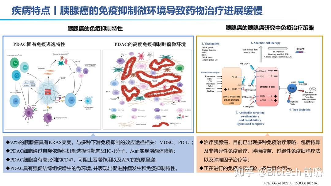 乳腺肿瘤怎么治最好？权威解读及个性化治疗方案