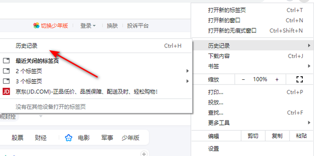 浏览器浏览记录怎么查？深度解析及隐私保护指南