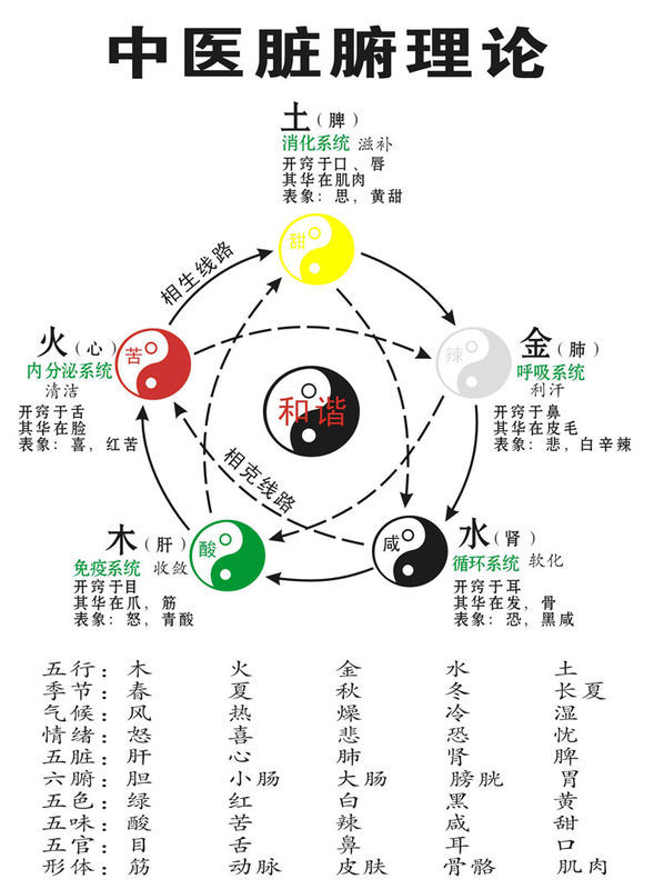 卵泡发育不好怎么调理？中医西医结合调理方案及注意事项