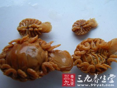 怎么去虱子和虱子卵？家庭除虱彻底攻略及预防措施