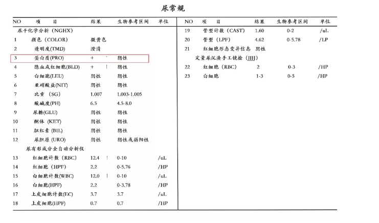 尿常规报告怎么看？解读尿常规检查结果的全面指南