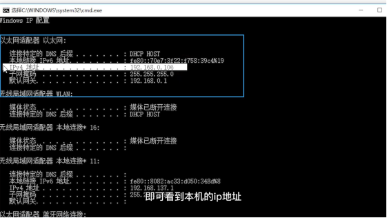 快速掌握：怎么查自己的IP地址？多种方法及潜在风险详解