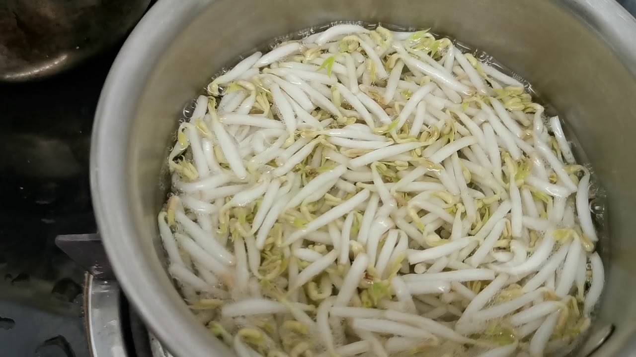 绿豆生豆芽精彩指南：从选豆到选所完整指南