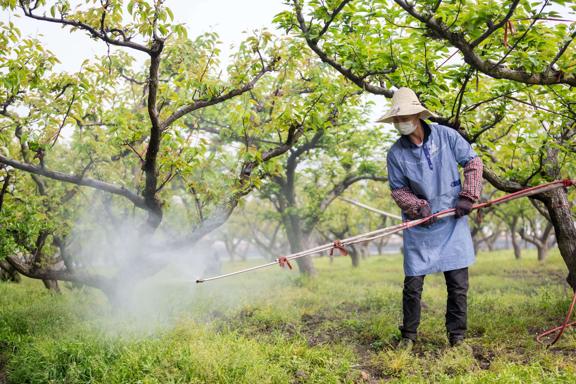 怎么判断人体该驱虫了？深度解析驱虫时机及症状