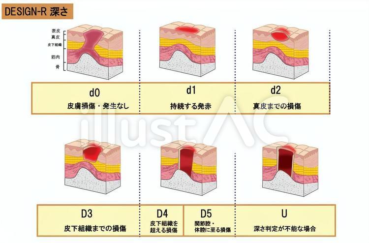 2025年1月8日 第32页