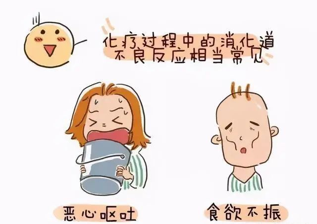 吐了之后怎么缓解最好？快速有效恢复指南