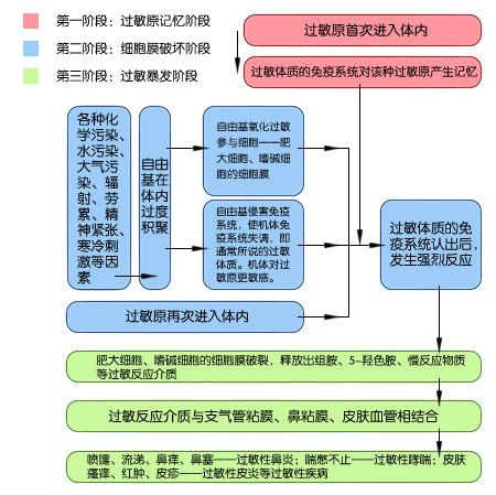 过敏怎么消肿？快速有效缓解过敏性肿胀的实用指南