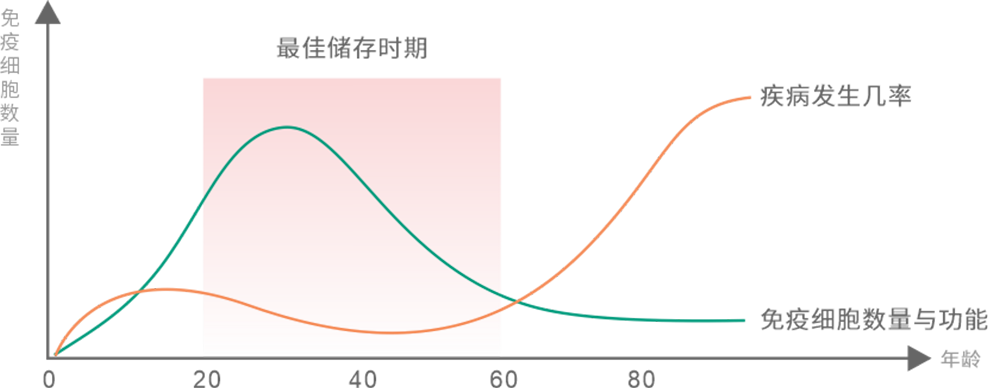 小儿免疫力低怎么办？提升宝宝免疫力全攻略