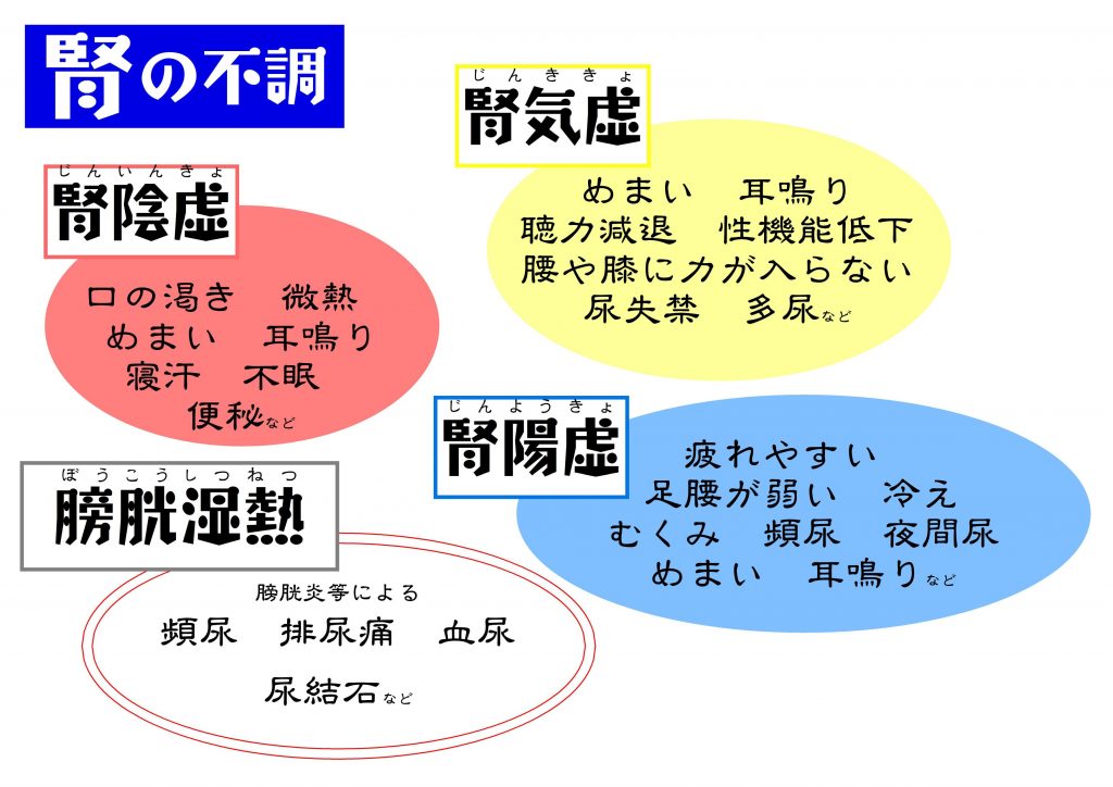 怎么调理肾阴虚？中医食疗、运动、药物调理方案详解