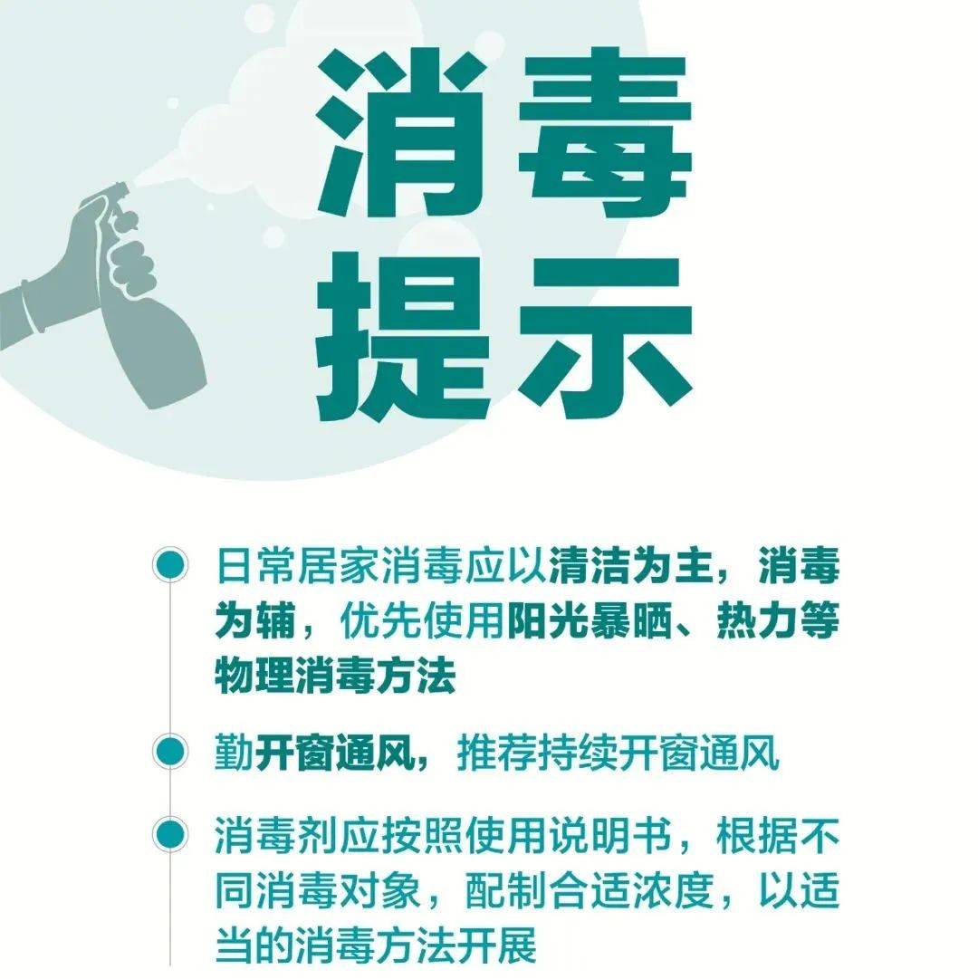 粽叶怎么处理？从选叶到烹煮，包出美味端午粽的完整指南