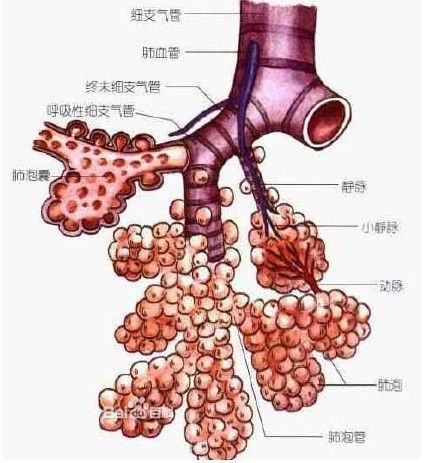 破茧成蝶 第34页