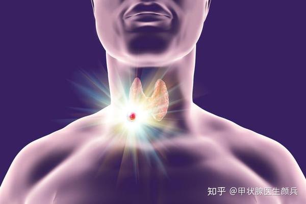 甲状腺疾病的成因探秘：遗传、自身免疫及环境因素的深度解析