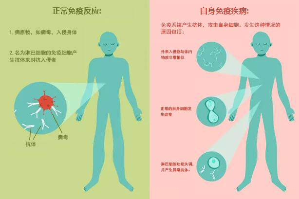 过敏性皮炎是怎么引起的？探究病因及预防措施