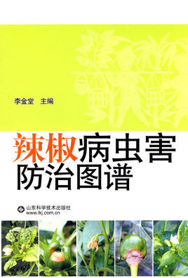 怎么种辣椒种子？从播种到采收的完整指南及常见问题解答