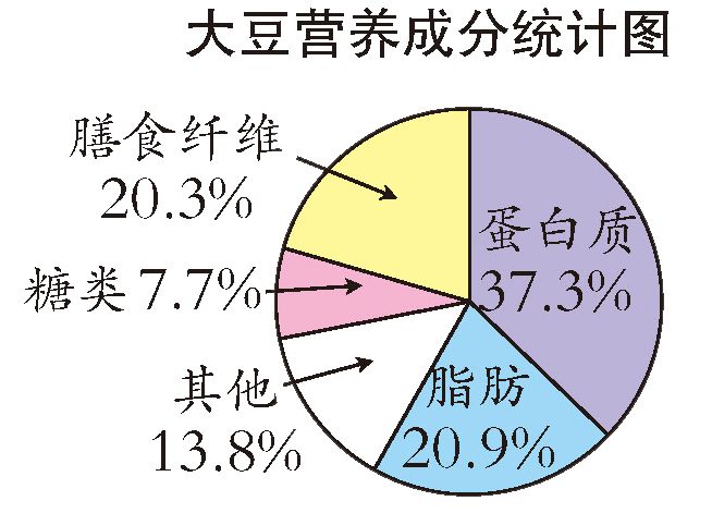 轻松掌握扇形统计图绘制技巧：从入门到精通，数据可视化不再难