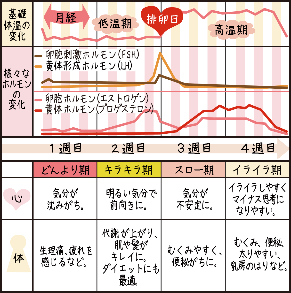 白带有血丝是怎么回事？全面解读病因、症状及应对方法