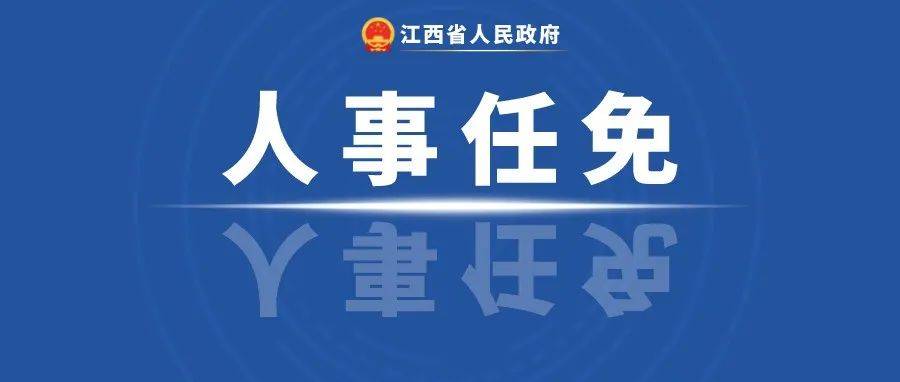 陆川县最新人事任命：解读领导班子调整对地方发展的影响