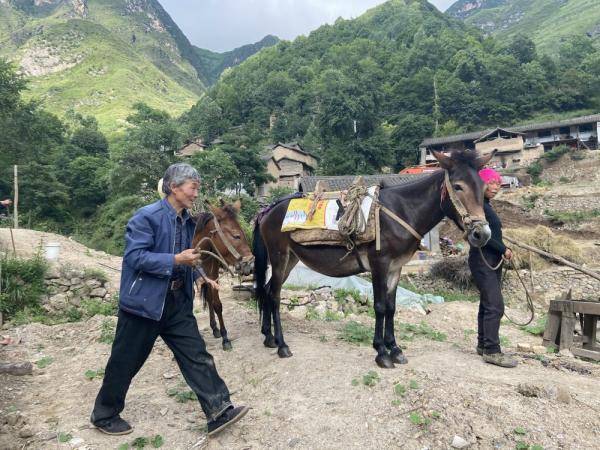 卖媸最新规定详细解析：法规修改及社会影响