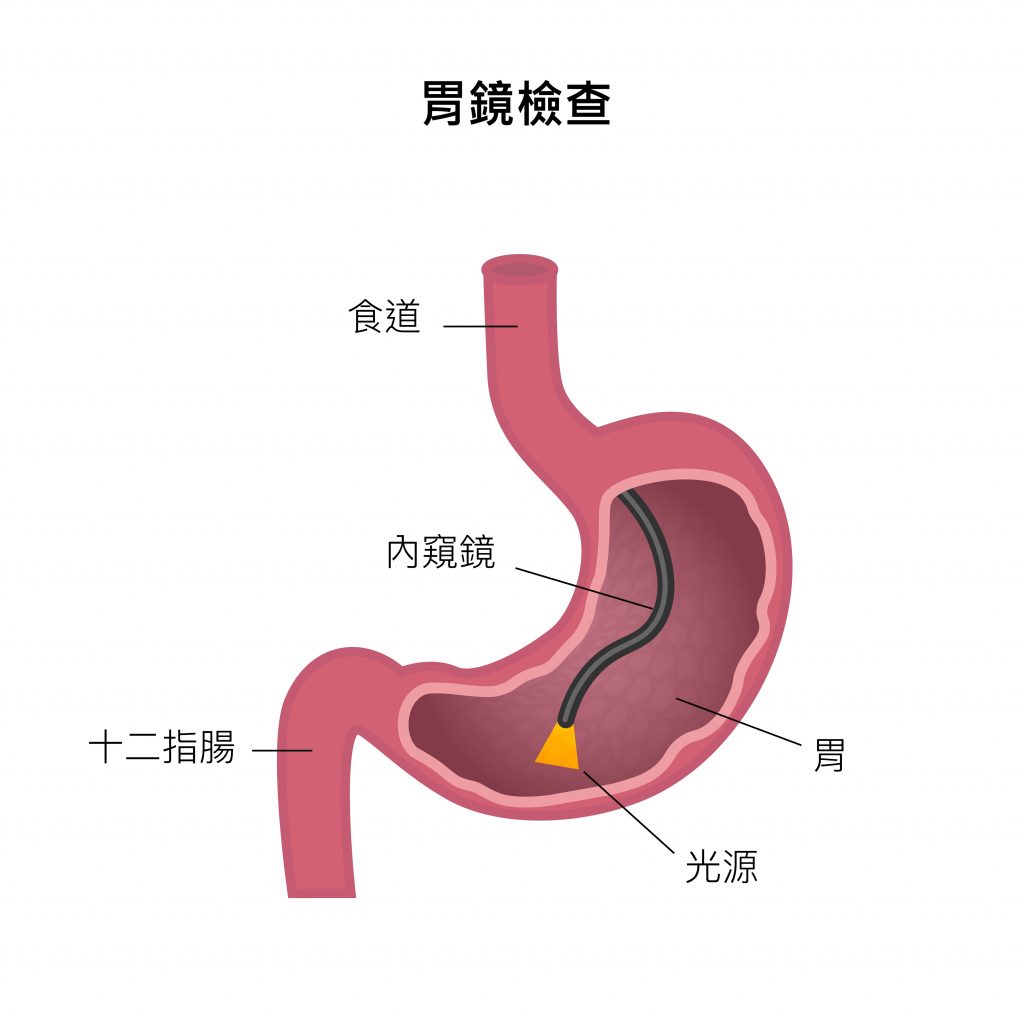 消化科最新进展：技术革新与未来展望