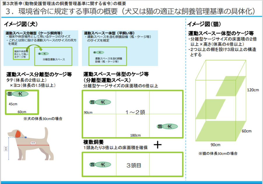 困兽法则最新解读：困境突围与战略调整的深度分析