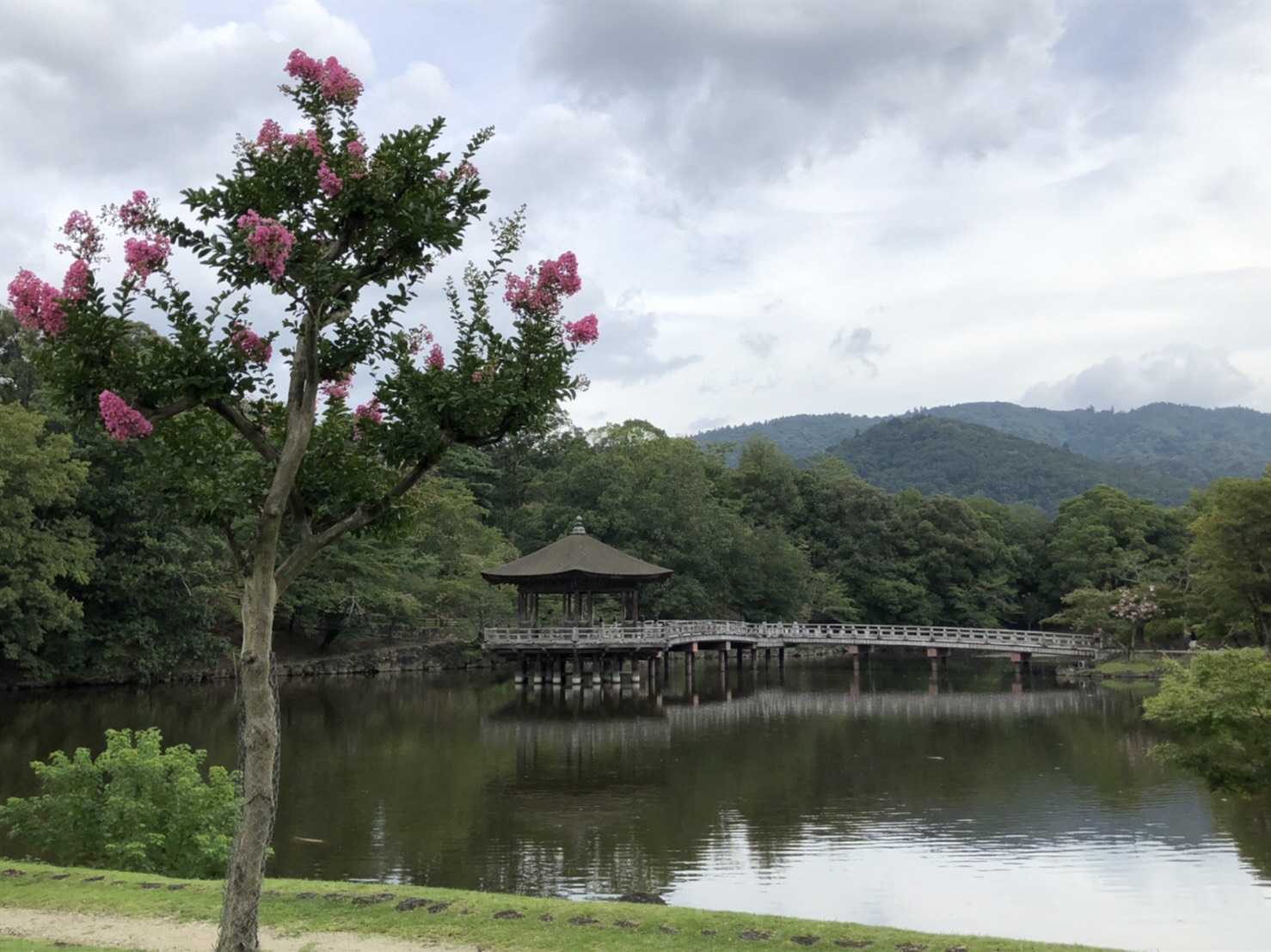 龙岩香榭景园最新消息：全面解析楼盘现状及未来发展趋势