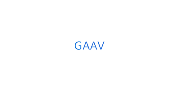 www.gaoav.com最新网址：深入探讨其现状、风险与未来发展趋势