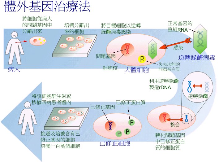 最新疼痛技术：从神经调控到精准治疗的突破性进展