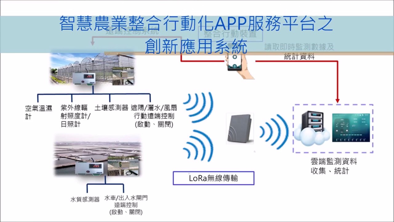 深度解析最新半命：技术革新、市场前景及潜在风险