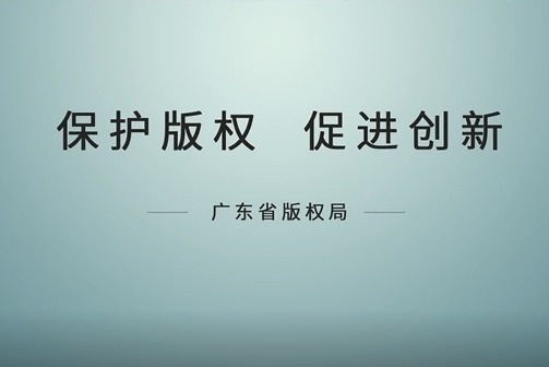 盗版最新最全：深入剖析盗版现状、风险及未来趋势