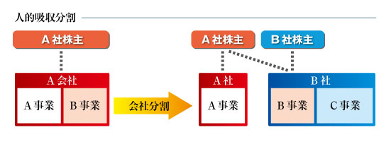 盘条最新价格深度解析：市场行情、影响因素及未来趋势预测