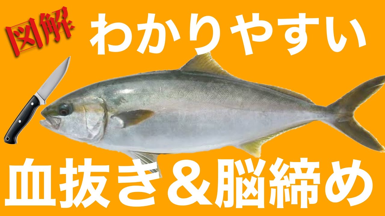 青辣椒怎么做？从挑选到烹饪，一份详尽的青辣椒料理指南