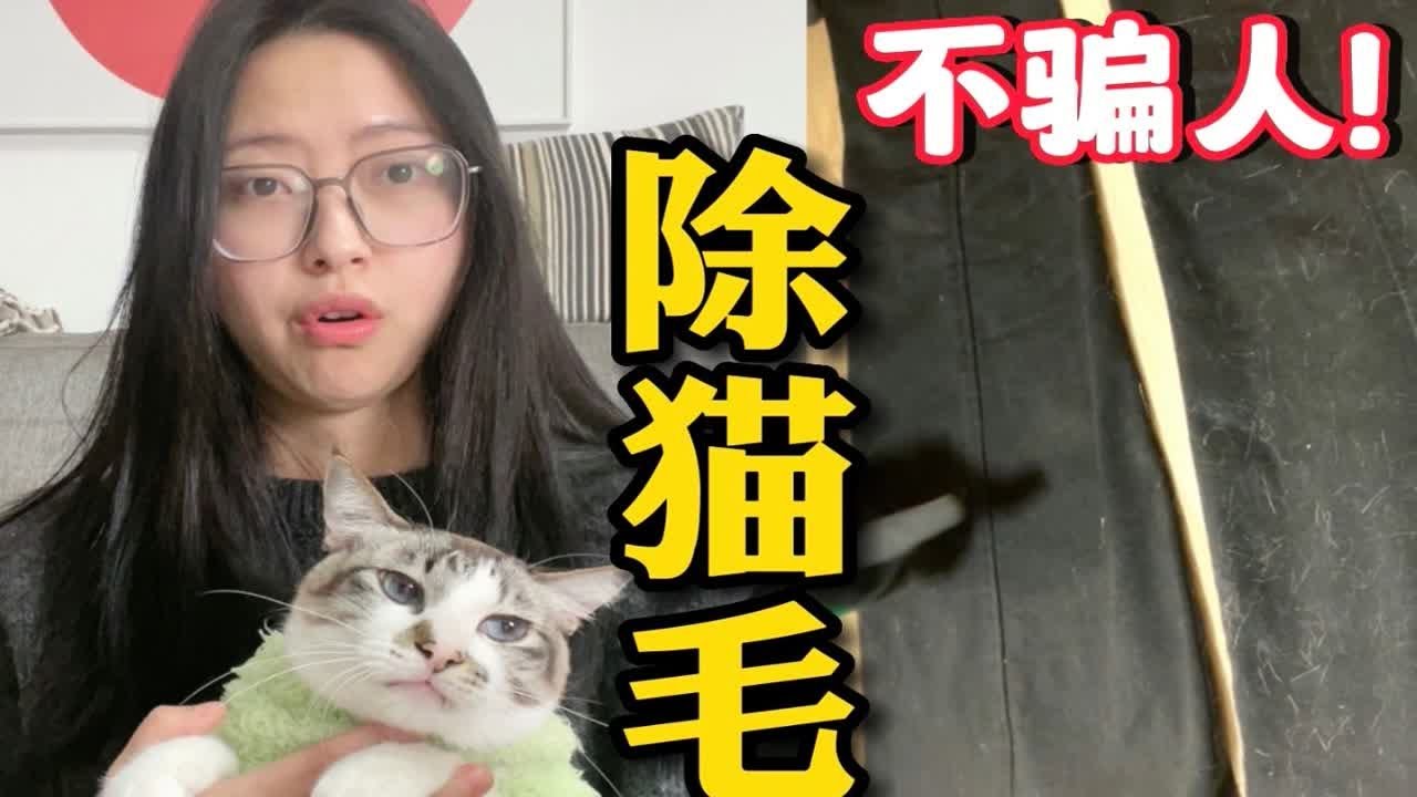 猫毛怎么处理？深度解析居家除毛妙招及常见问题