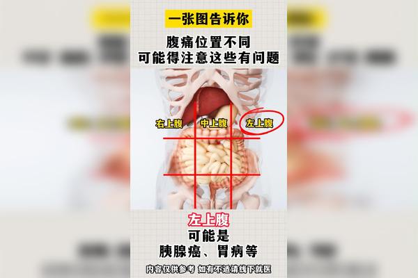 肚疼怎么回事？深度解析腹部疼痛的常见原因及应对方法