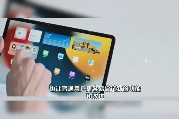 苹果怎么测试？从外观到功能的全方位检测指南