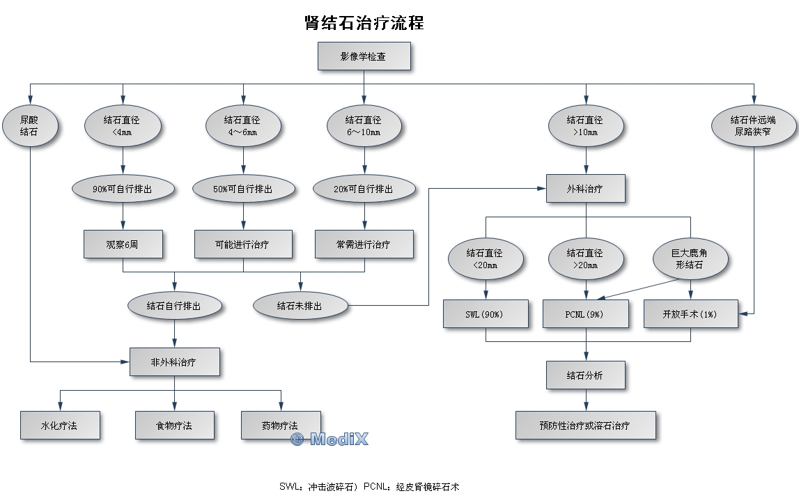 2025年3月6日 第85页